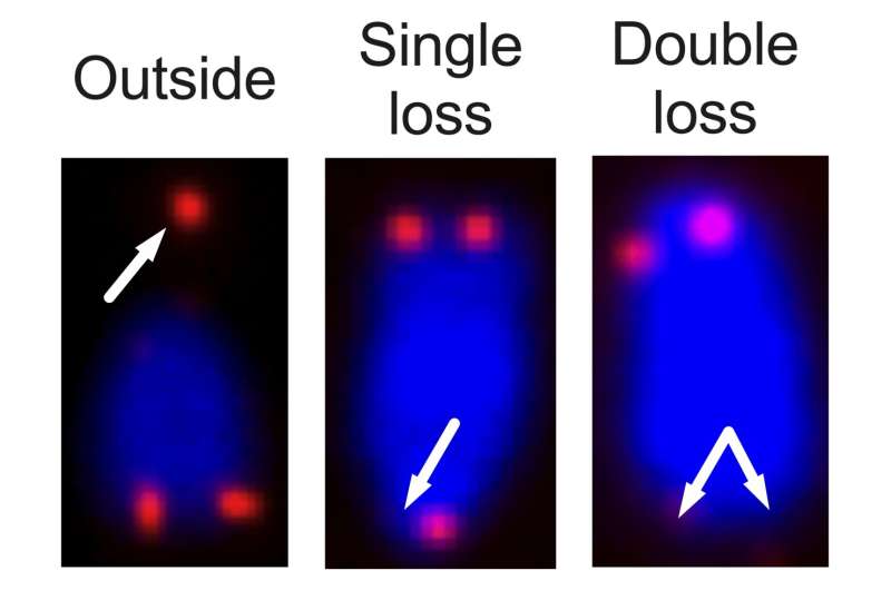 key to the erroneous a