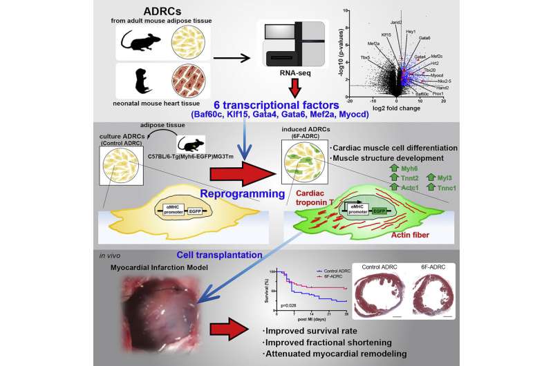 discovery may advance