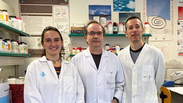 fotonoticia 20221108111802 640