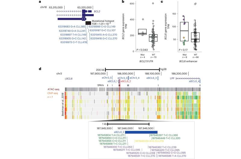 genetic research ident