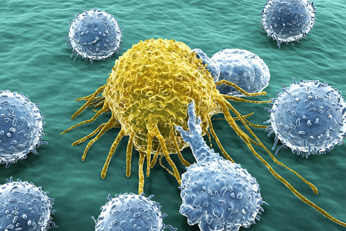 immedicohospitalario equipo estadounidense trabaja 35384 16112953