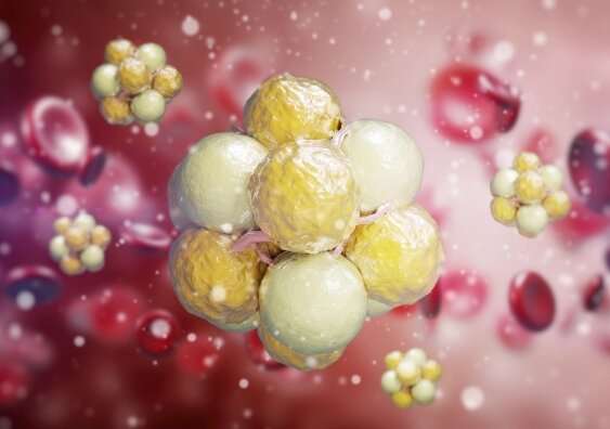 novel protein helps to