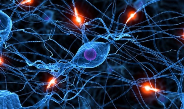 una terapia frena el avance de enfermedades neurodegenerativas en ratones 1439 620x368