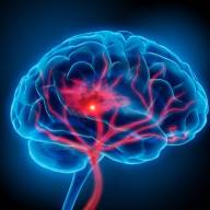 Las células inmunitarias de pacientes con ELA pueden predecir el curso de la enfermedad