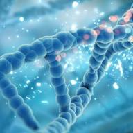 Nueva herramienta, capaz de eliminar genes defectuosos y reemplazarlos por otros nuevos