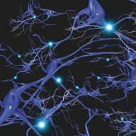 CRISPR technology improves Huntington's disease symptoms in models