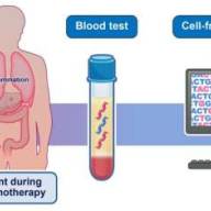 Cell-free DNA could detect adverse events from immunotherapy
